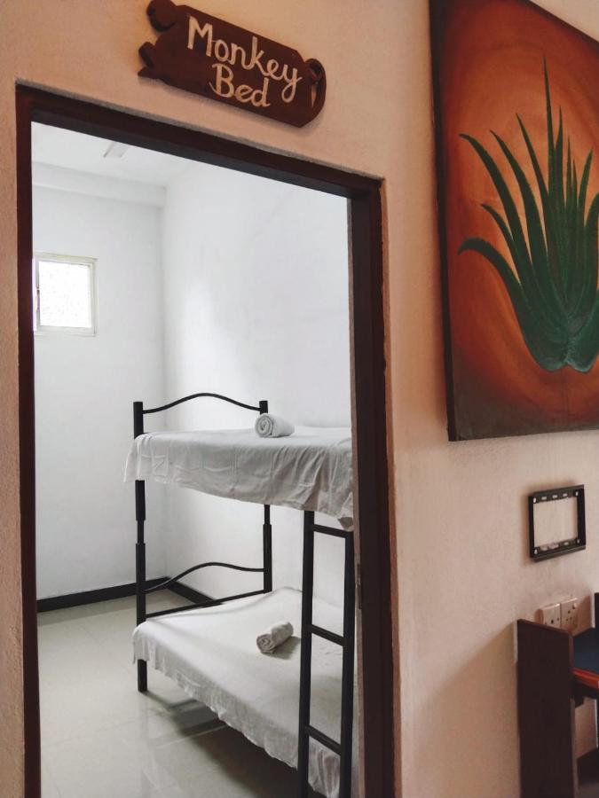 Aloevera Villa เนกอมโบ ภายนอก รูปภาพ